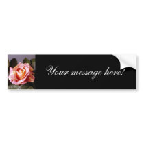 Striped Rose bumper stickers