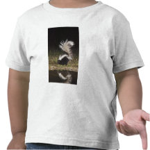 Striped Skunk, Mephitis mephitis, adult at Tee Shirts
