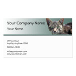 Striped Tabby with Green Eyes on Green Gradient Business Cards