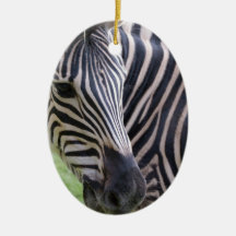 Striped Zebra Ornament