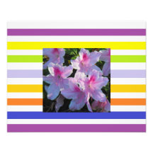 Stripes & Pink Azaleas Photo