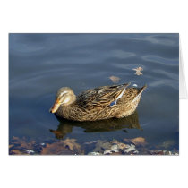 Stripey Duck card