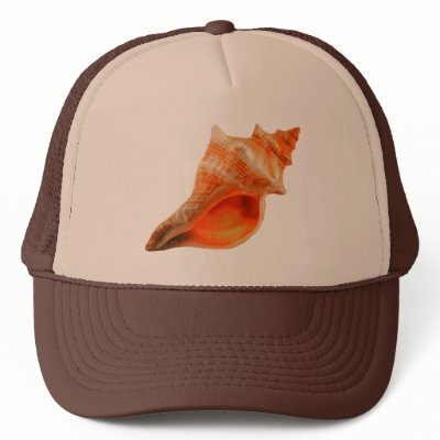 Stripped Fox Trucker Hats by roimim