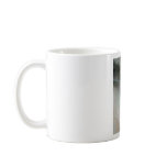 strix-nebulosa-lapponi mugs