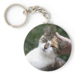 Stroke a Calico keychains