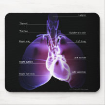 Structure of the heart and lungs mousepad