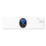 STS-125 bumper stickers