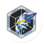 STS 130 Endeavour stickers