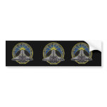 STS-132 space shuttle final flight bumper stickers