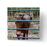 Stubborn as a mule round button