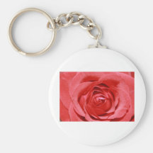 stuck here keychains