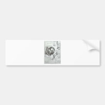 Studies of embryos bumper sticker