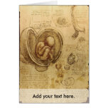 Studies of Embryos cards