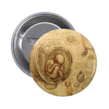 Studies of Embryos Pins