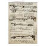 Studies of the Arm by Leonardo Da Vinci c. 1510 Cards
