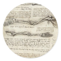 Studies of the Arm by Leonardo Da Vinci c. 1510 Round Sticker