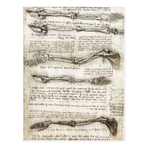 Studies of the Arm showing the Movements made by B Post Cards