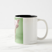 Studio Cut Out of a Piglet Standing Coffee Mugs