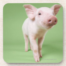 Studio Cut Out of a Piglet Standing Beverage Coaster