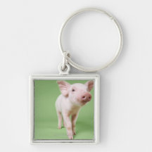 Studio Cut Out of a Piglet Standing Keychain