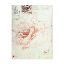 Study for the Alba Madonna, c.1508-09 Post Cards