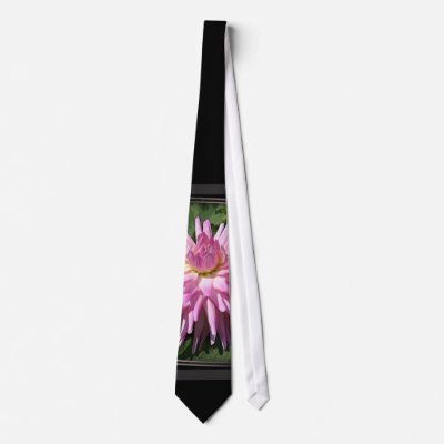 STUDY IN BEAUTY 5 CUSTOM TIES by sandytravel
