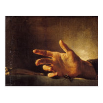 Study of a Hand postcards