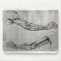 Study of Arms Mouse Pads