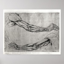 Study of Arms Print