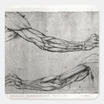 Study of Arms Stickers