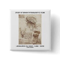 Study Of Brain Physiology (Leonardo da Vinci 1508) Pinback Buttons