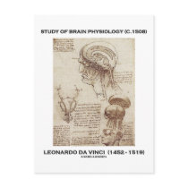 Study Of Brain Physiology (Leonardo da Vinci 1508) Postcard