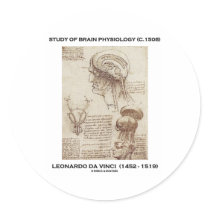 Study Of Brain Physiology (Leonardo da Vinci 1508) Sticker