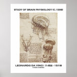 Study Of Brain Physiology Leonardo da Vinci posters