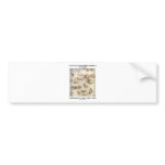 Study Of Cats & Other Animals (Leonardo da Vinci) Bumper Sticker