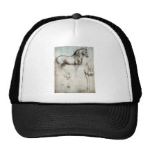 Study of horse. hats