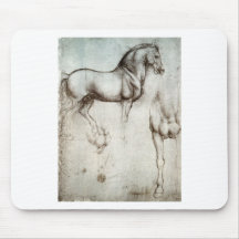 Study of horse. mouse mat