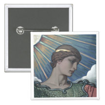Study of Minerva Pins