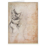 Study of torso and buttock cards