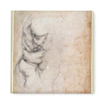 Study of torso and buttock magnets
