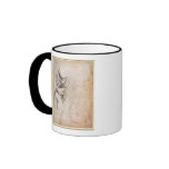 Study of torso and buttock mugs