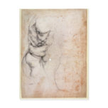 Study of torso and buttock postcards