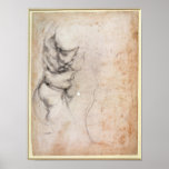 Study of torso and buttock posters
