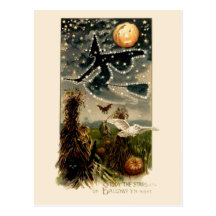Study the Stars on Halloween Night- Postcard