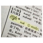 Study written in Chinese flyers