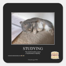 Studying Stickers