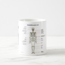 StudyThem Bones... Mugs