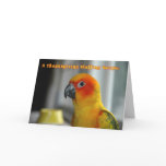 Stuff Yourself cards