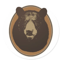 Stuffed Brown Bear Head on the Wall