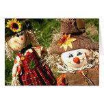 Stuffed Straw Toys Card